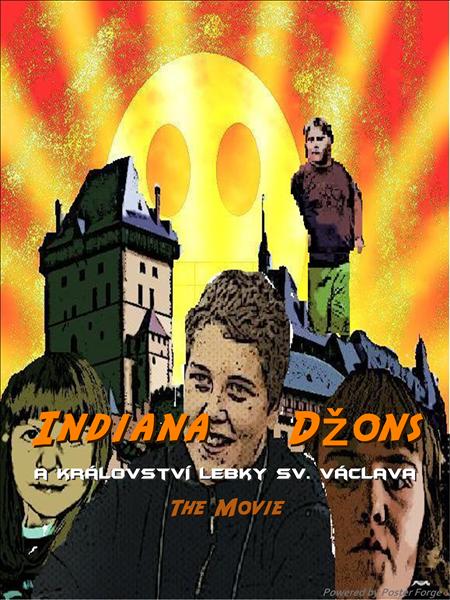 indidzons