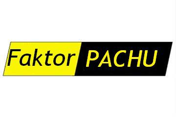 Faktor pachu